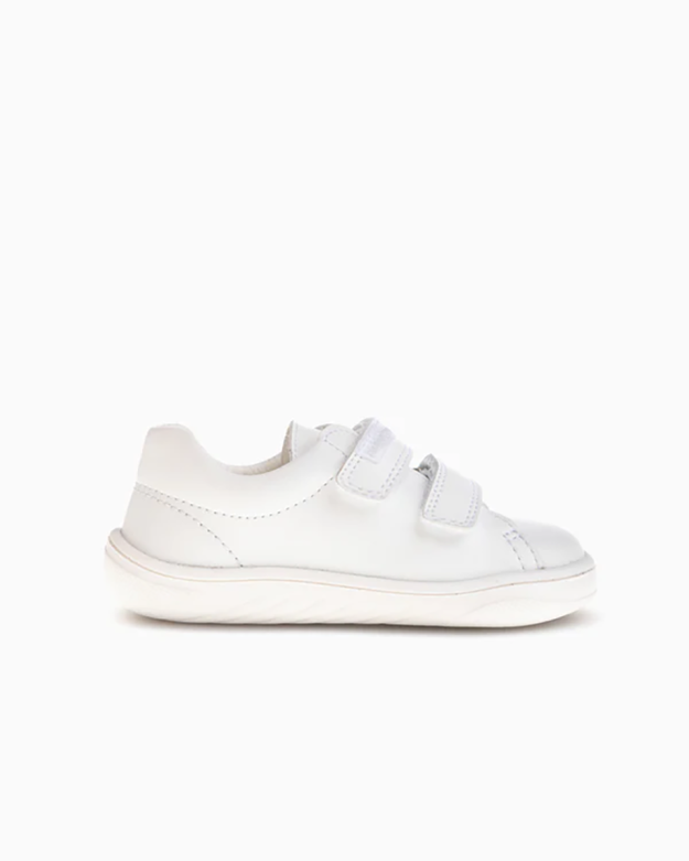 DIXAN